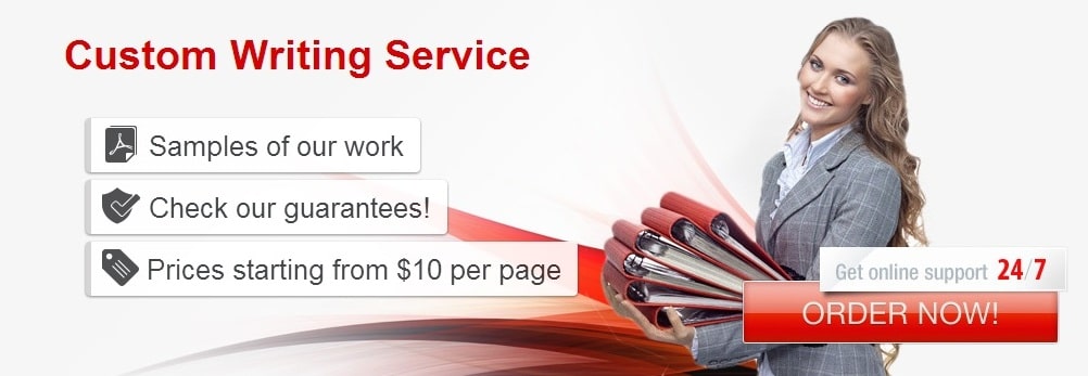 Essay writing service support